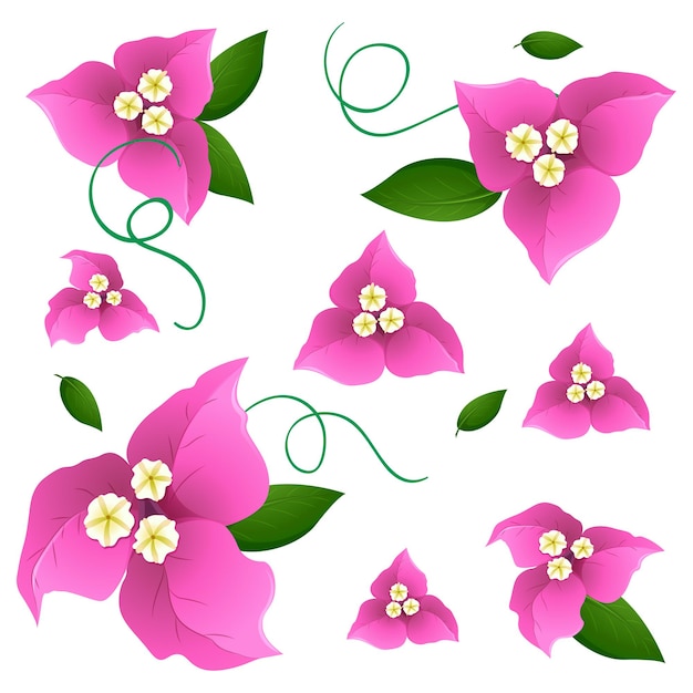 Naadloos ontwerp als achtergrond met roze bougainvillea bloemen