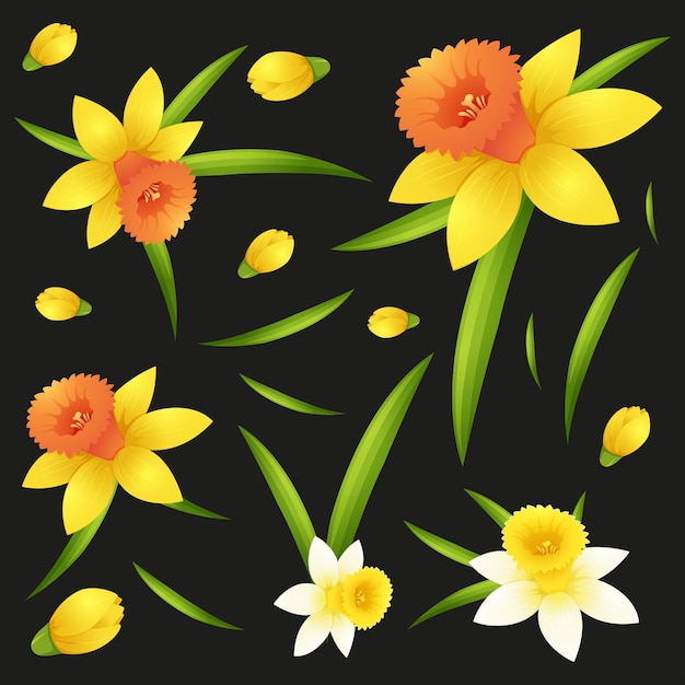 Gratis vector naadloze achtergrond met narcissen bloemen