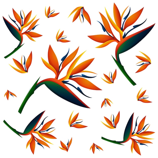 Gratis vector naadloze achtergrond met paradijsvogel bloemen