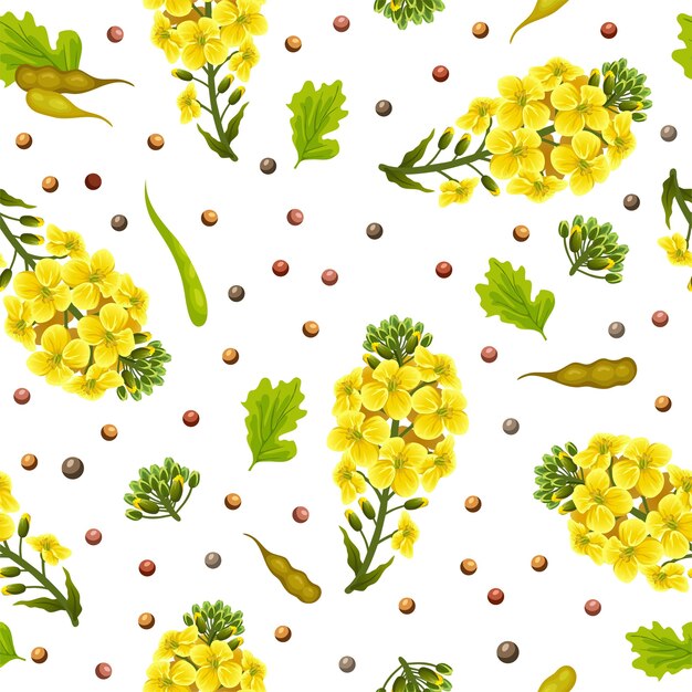 naadloze patroon van verkrachting bloemen en bladeren, canola.
