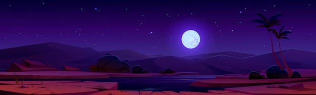 Nacht woestijnoase onder volle maan sterrenhemel