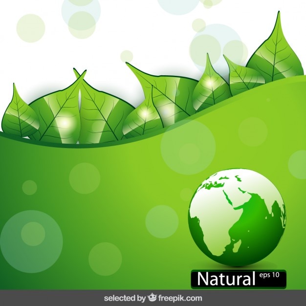 Gratis vector natuur achtergrond met bol en bladeren