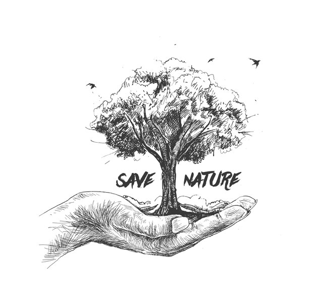 Natuur menselijke hand met boom tegen witte achtergrond Ecologie en Earth day concept