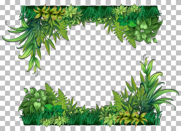 Gratis vector natuur planten frame transparante achtergrond