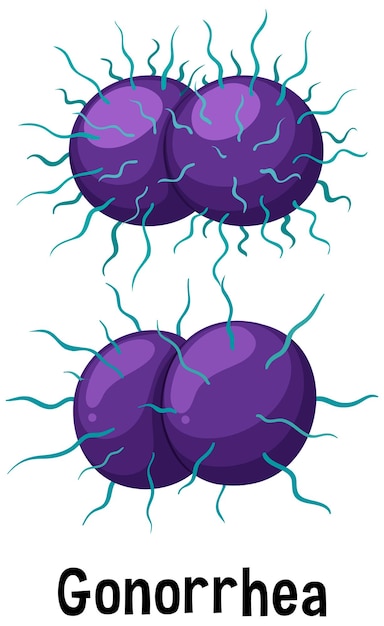 Neisseria gonorrhoeae bacterie met tekst