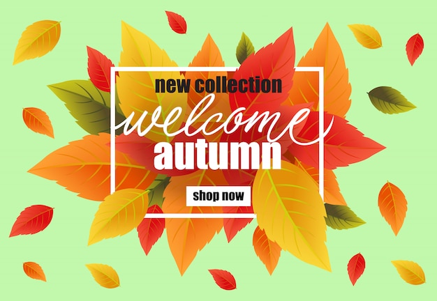 Nieuwe collectie welkom herfst belettering met kleurrijke bladeren.