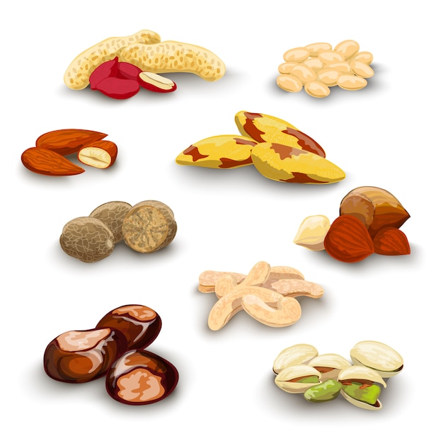 Gratis vector nuts decorative set