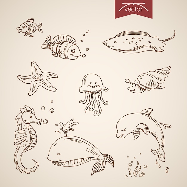 Gratis vector onderwaterwereld zee leven oceaan set.