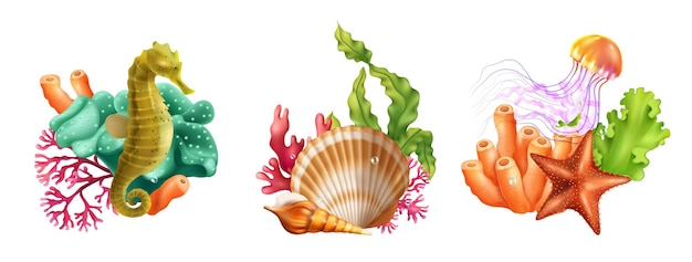 Gratis vector onderzeese wereld drie realistische composities bestaande uit seahorse shell kwallen zeester koraal zeewier geïsoleerde vectorillustratie