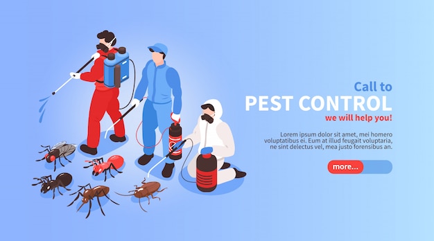 Gratis vector ongediertebestrijding huis hygiëne desinfectie service isometrische website banner met professioneel team insecten achtergrond uitroeien