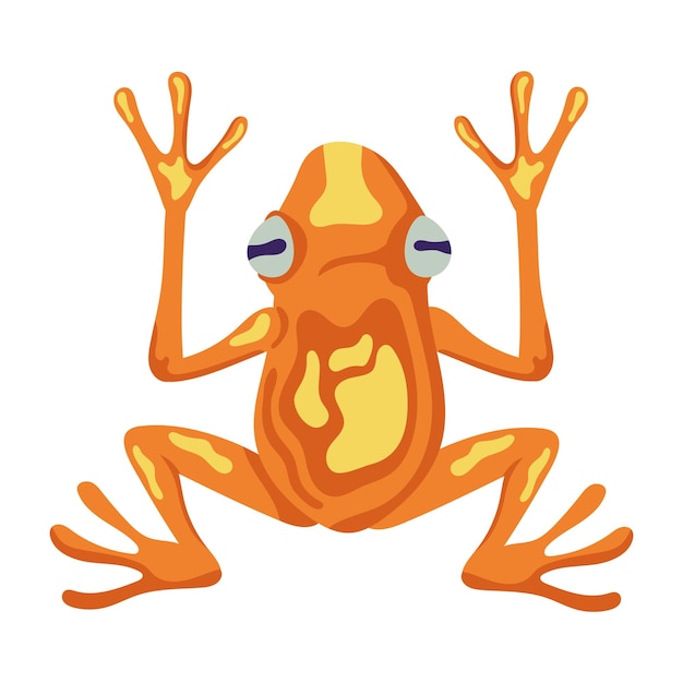 Gratis vector oranje kikker exotisch dier