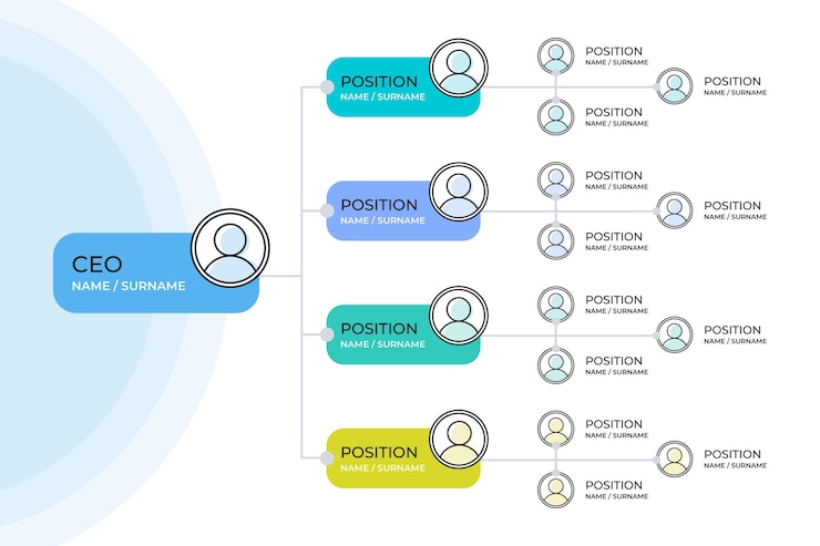 Gratis Vector organigram infographic