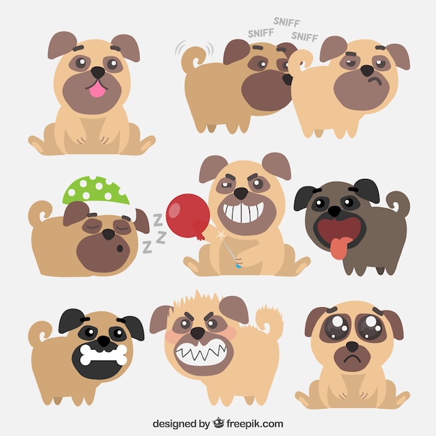 Gratis vector originele verscheidenheid aan grappige pugs