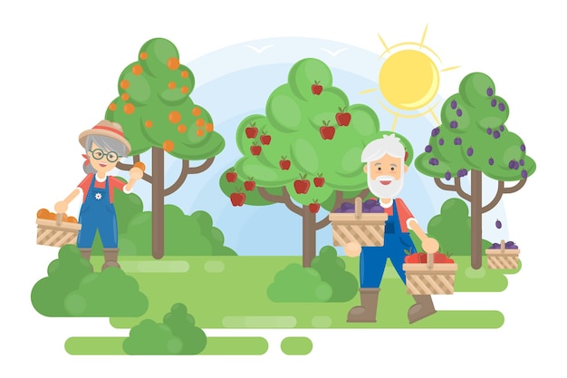 Paar in tuin Senior boeren verbouwen de bomen met fruit