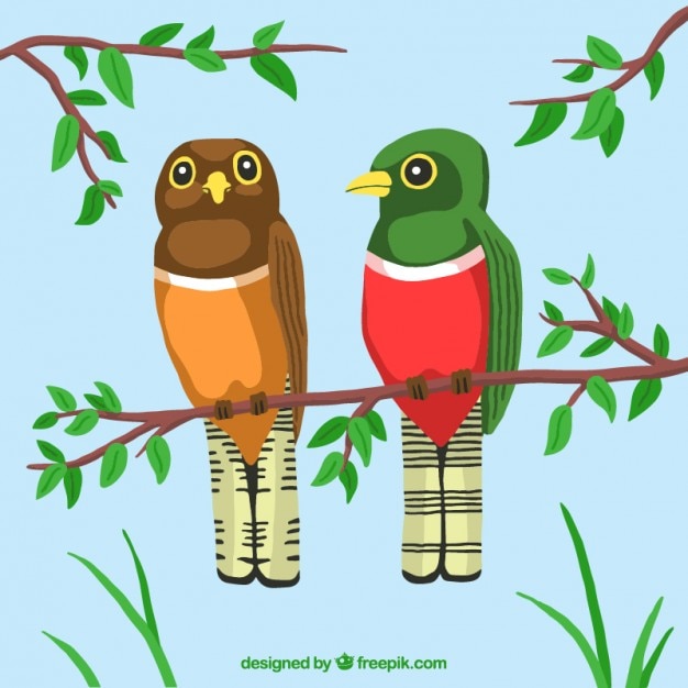 Gratis vector paar van vogels in een tak