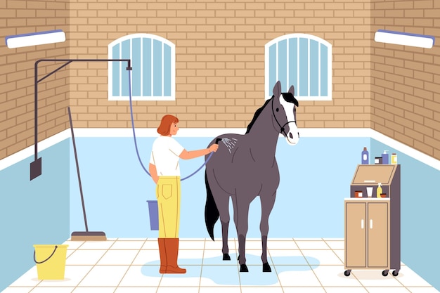 Paard en mensen platte compositie die een vrouwelijke werknemer toont die zich bezighoudt met het wassen van paarden met douche vector illustratie