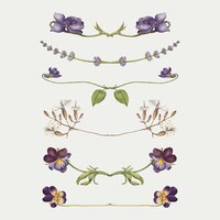 Paarse bloemverdeler bloei vector set, remix van the model book of calligraphy joris hoefnagel en georg bocskay