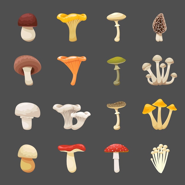 Gratis vector paddestoelen illustratie voor menu's en recepten. eetbaar en giftig voedsel