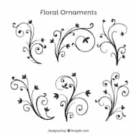 Gratis vector pak met hand getekende bloemen ornamenten