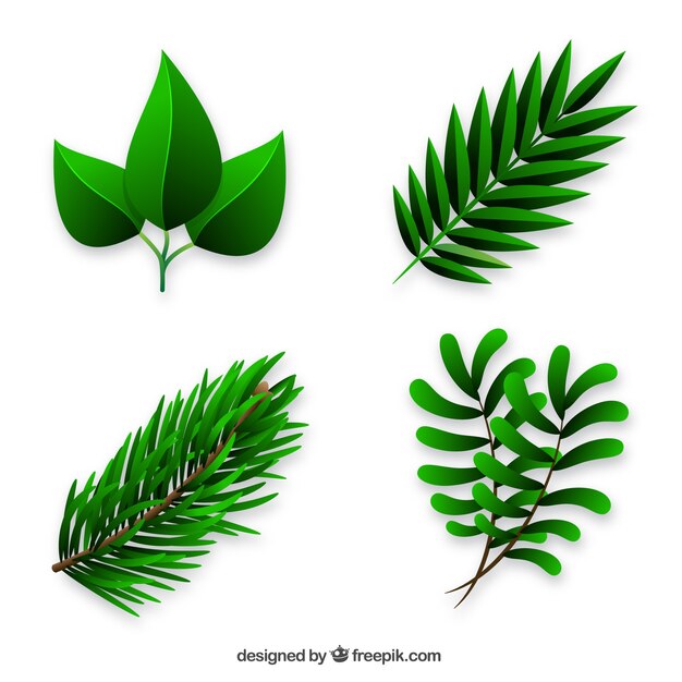 Gratis vector pak van bladeren en planten