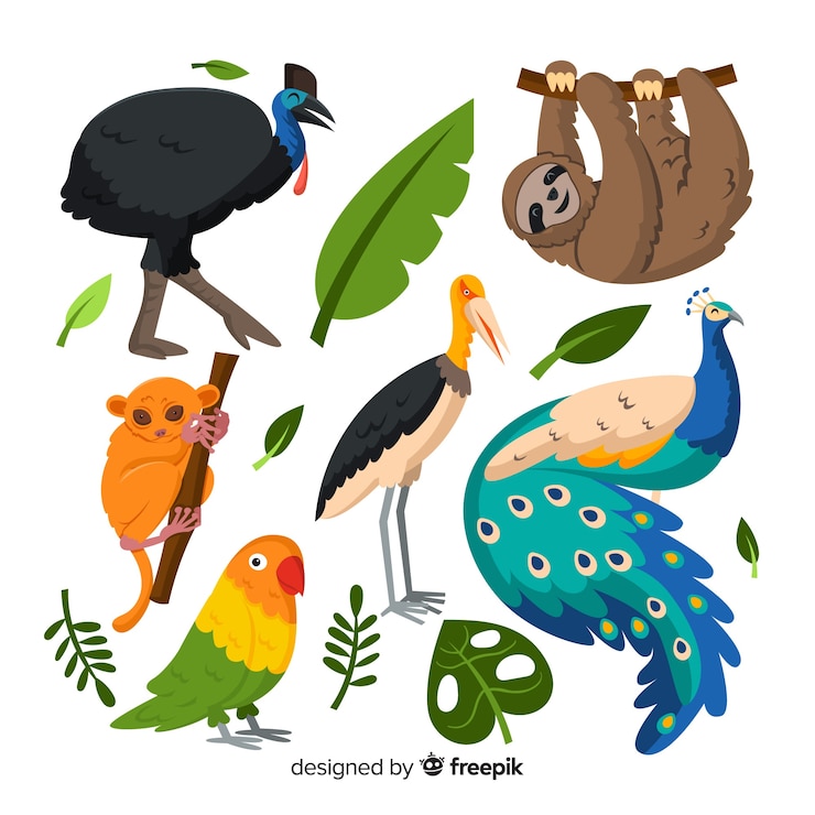 Gratis Vector pak van platte tropische dieren