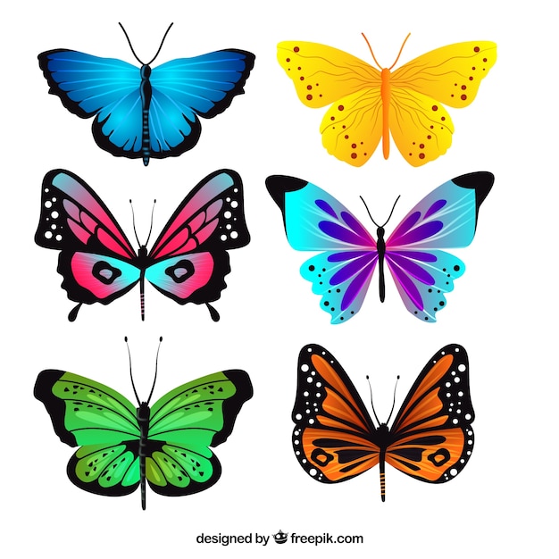 Pak van realistische vlinders met verschillende kleuren