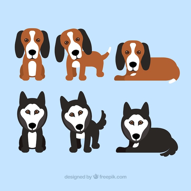 Gratis vector pak van zes puppies