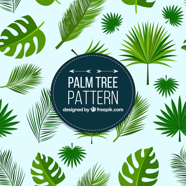 Gratis vector palm bladmotieven