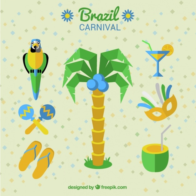Palm en carnaval elementen uit brazilië