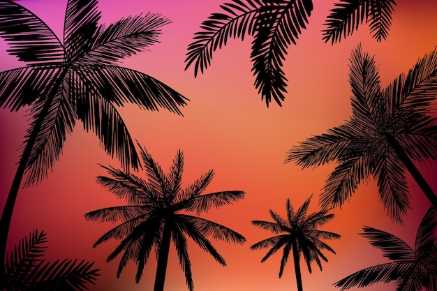 Palmen silhouetten achtergrond
