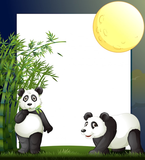 Gratis vector panda en bamboe grenssjabloon