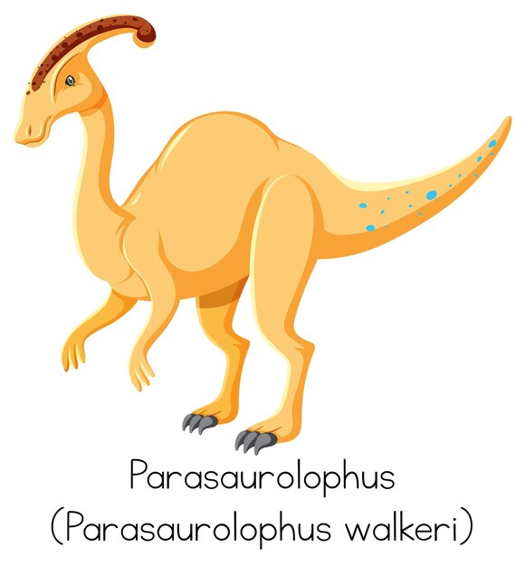 Parasaurolophus woordkaart op witte achtergrond