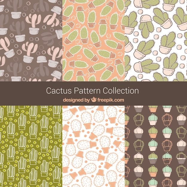 Patroon collectie met handgetekende cactus