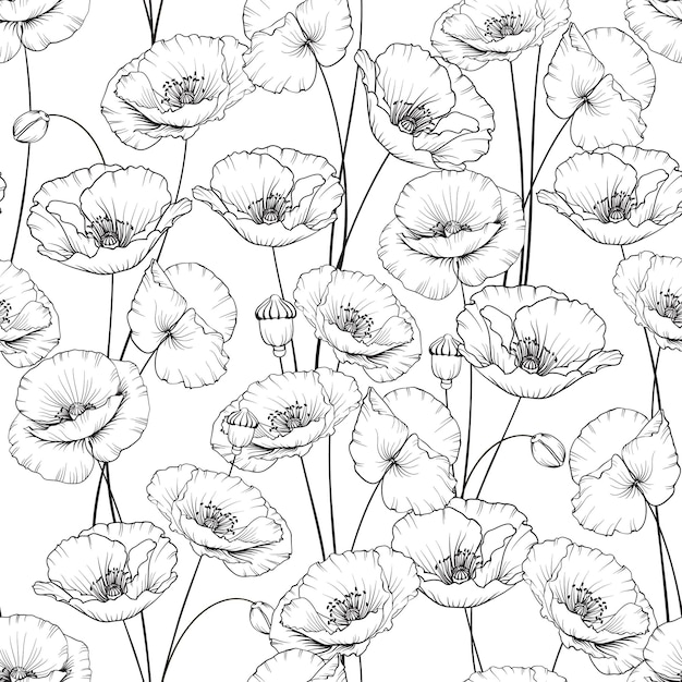 Patroon van papaver bloemen op een witte achtergrond Vectorillustratie