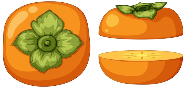 Gratis vector persimmon in hele en halve stukken