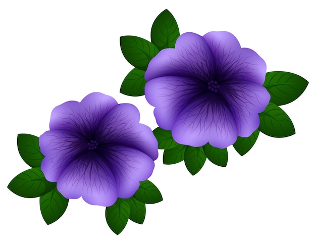 Petunia in paarse kleur