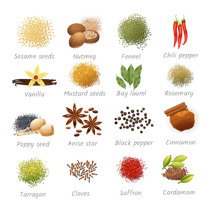 Gratis Vector pictogrammen die met titels van pikante voedselingrediënten en geurige realistische kruiden worden geplaatst