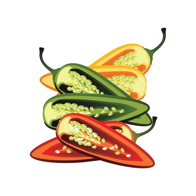 Plakjes ruwe jalapeno peper. vector illustratie