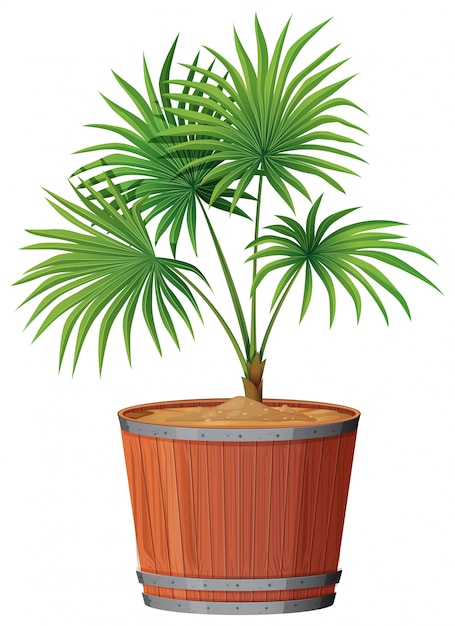 Gratis vector plant in barrell pot