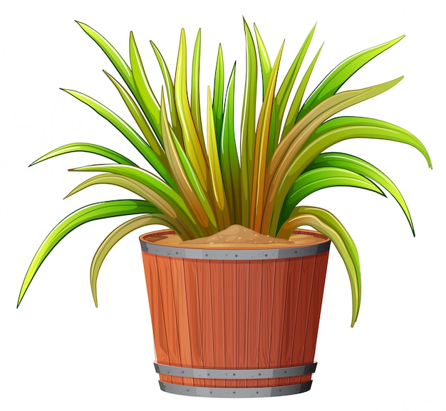 Gratis vector plant in houten pot