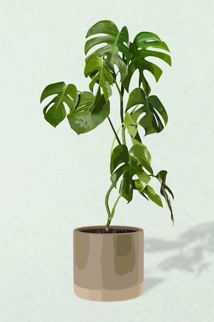 Plant vector kunst, Monstera illustratie