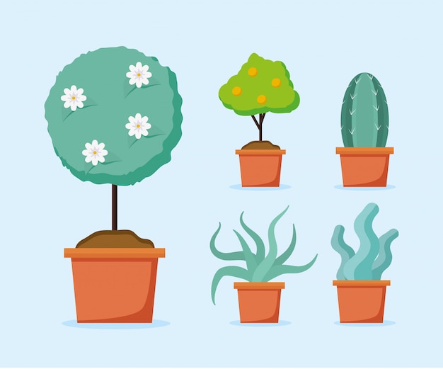 Gratis vector planten in potten