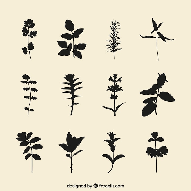 Gratis vector planten silhouetten