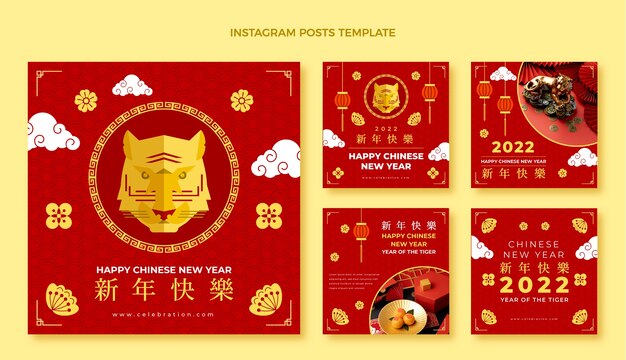 Platte chinese nieuwjaar instagram posts collectie