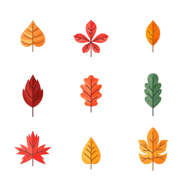 Gratis vector platte herfst elementen collectie