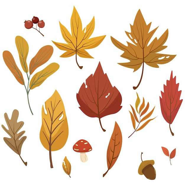 Gratis vector platte herfstbladeren collectie