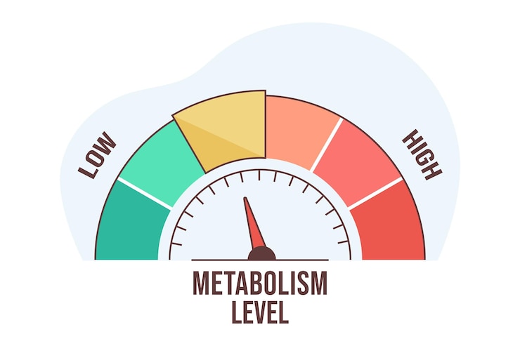 Gratis Vector platte infographic metabolismeschaal met pijl en meetwaarde