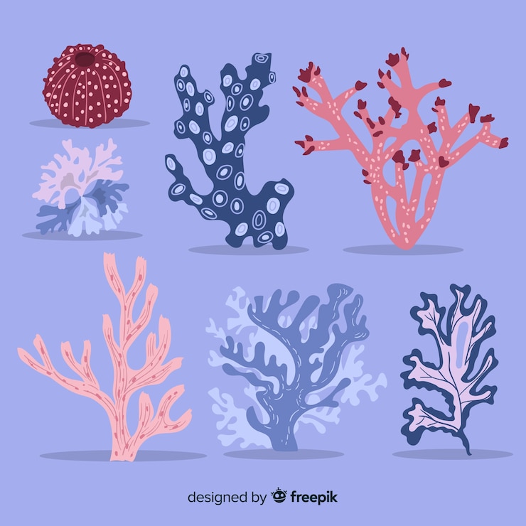 Gratis Vector platte koraalcollectie