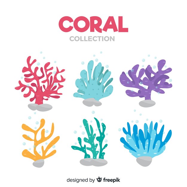 Platte koraalcollectie