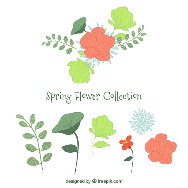 Gratis vector platte lente bloemen collectie